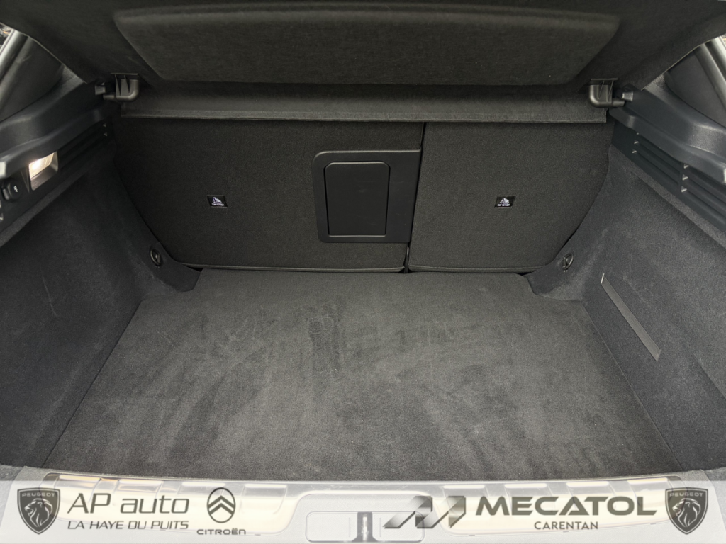 Ds DS 4 (2) BLUEHDI 130 PERFORMANCE LINE AUTO
