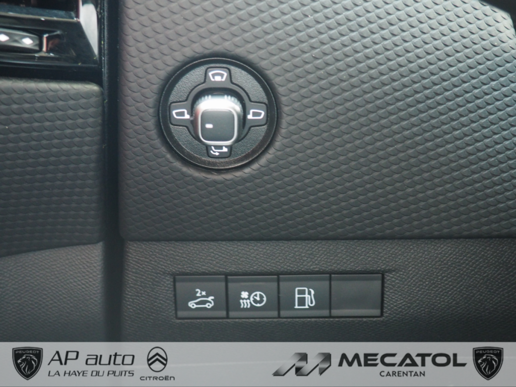 Ds DS 4 (2) E-TENSE 225 CROSS RIVOLI AUTO