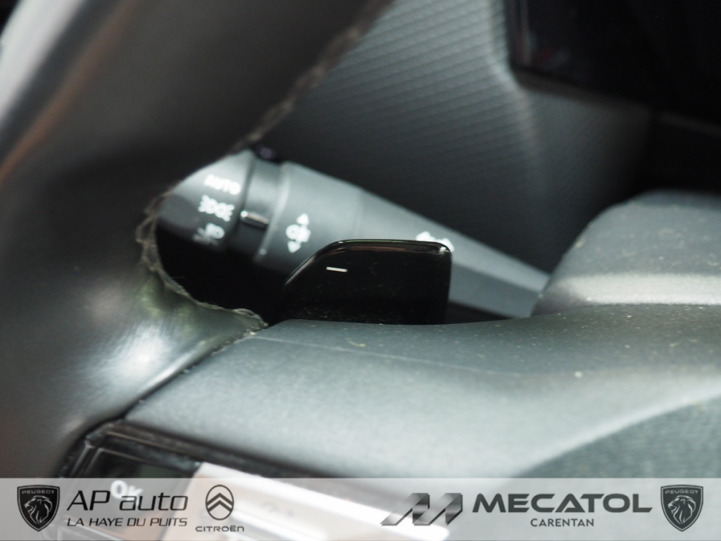 Ds DS 4 (2) E-TENSE 225 CROSS RIVOLI AUTO
